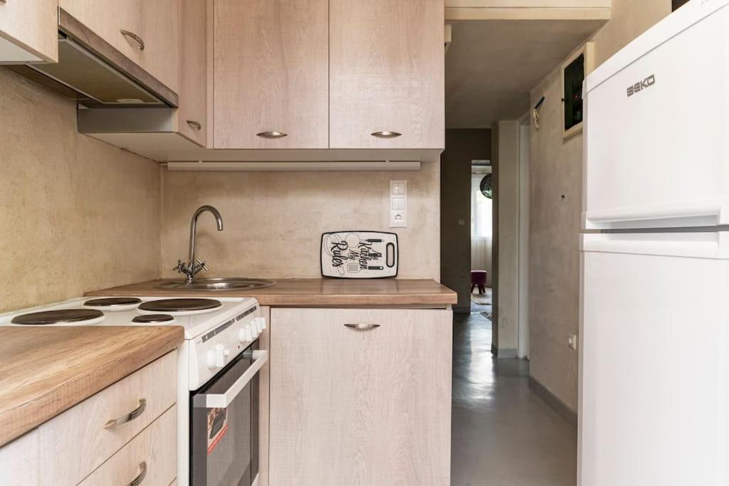 Cute Full Apt W/Backyard In Paleo Faliro Athén Kültér fotó